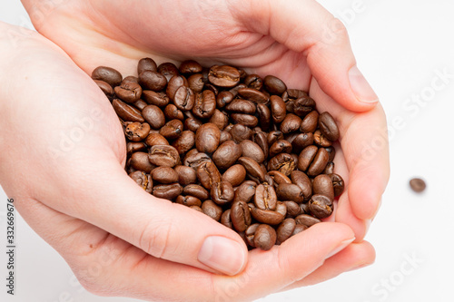 Hand full of coffee beans holding dark seeds between fingers