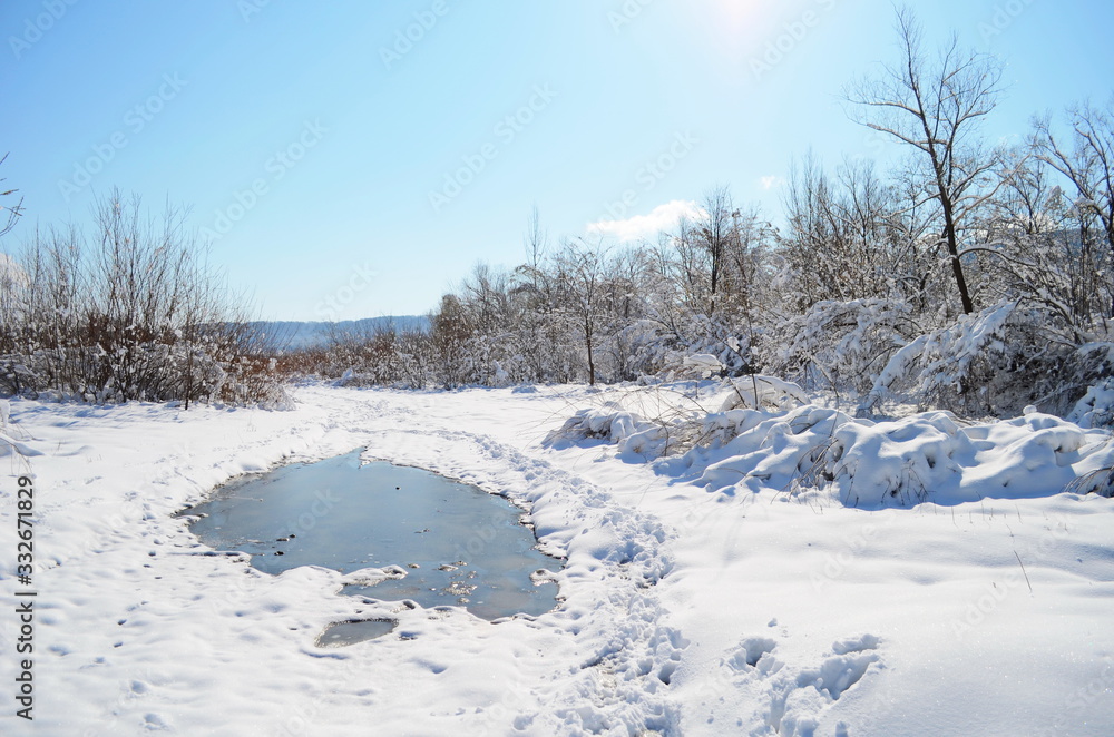 forest wild river landscape with snow at spring forest wild river landscape with snow at spring