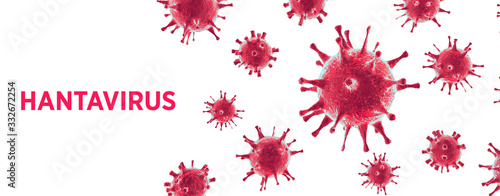 hantavirus hanta virus 3d illustration photo