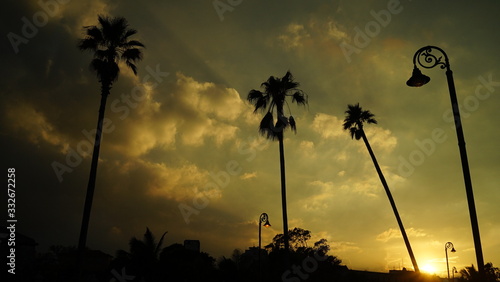 Tropical sunset with palmes and street light