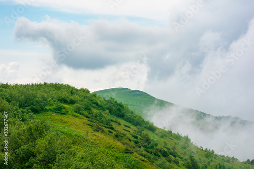 alpine meadows of mnt. runa  ukraine. beautiful nature scenery of carpathian mountains in summer. cloudy weather