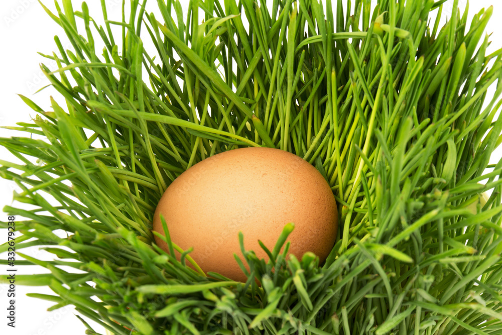 Brown eggs on green grass, isolated on white background. Brown eggs on green grass, isolated on white background.