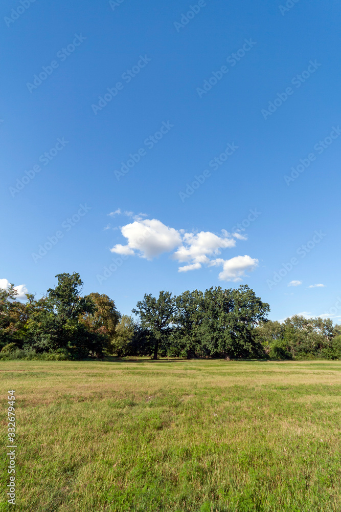 Meadow and blue sky. Rural nature in the farm land Hungary