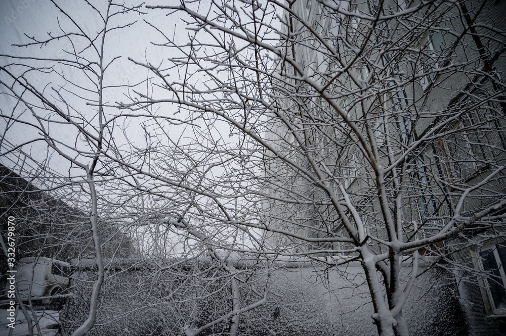 Snow covered branches at winter. Snow covered branches at winter.