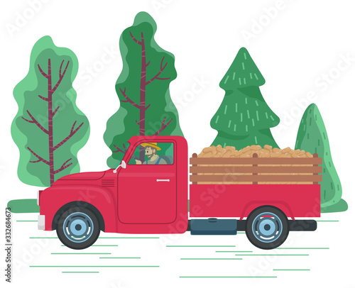 Man driving lorry with potato harvest on road in countryside. Red car ride from farm to town with vegetables on hind carriage. Beautiful landscape with green trees. Vector illustration in flat style
