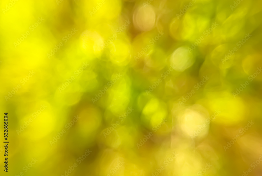 Obraz premium blurred green forest background concept copy space wallpaper 