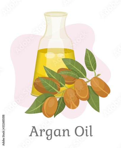 Argan oil branch of nuts with leaves and liquid in glass isolated on white. Card with natural ingredient for healthcare and spa procedure. Therapy for hair with vegetarian product in bowl vector