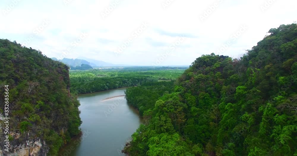 wonderful nature mangroves forest wilderness wonderful nature mangroves forest wilderness