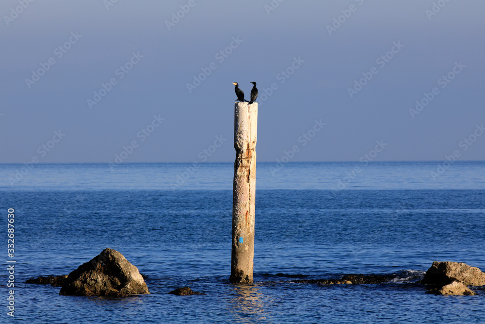 Numana (AN), Italy - January 1, 2019: Wooden mooring at Numana beach, Riviera del Conero, Adriatic Sea, Numana, Ancona, Marche, Italy Numana (AN), Italy - January 1, 2019: Wooden mooring at Numana beach, Riviera del Conero, Adriatic Sea, Numana, Ancona, Marche, Italy