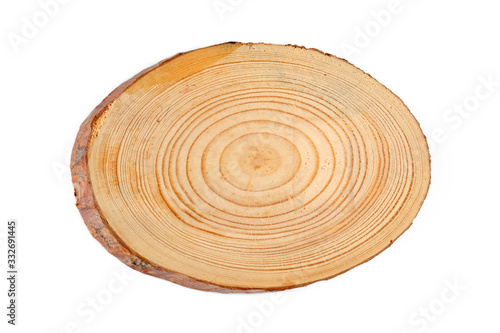 Tree trunk slice cut. Textured surface with rings and cracks, isolated on white.