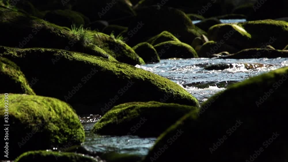 water in slow motion flowing over rocks in a small river in the forest water in slow motion flowing over rocks in a small river in the forest