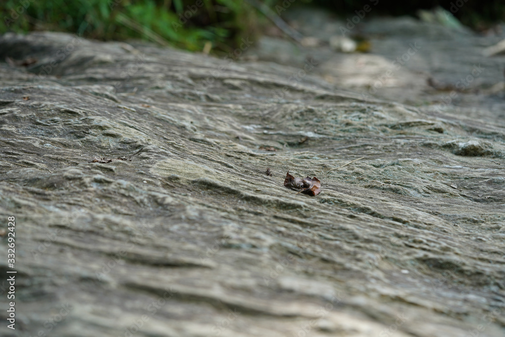 rock texture macro rock texture macro
