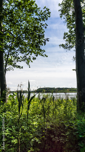 Ausblick auf den Krakower See zwischen 2 Bäumen