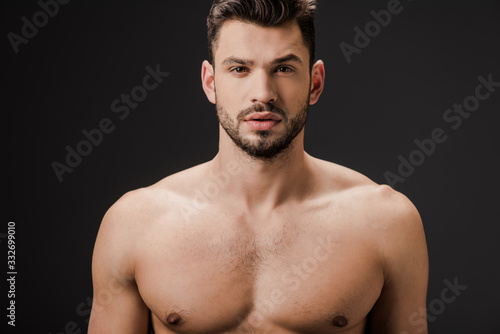 sexy naked brunette man isolated on grey