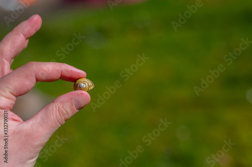 A snail shell is held between individual  fingers of a hand with a green background