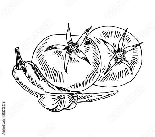 Fototapeta Tomatoes, hot chili pepper, garlic in line art style.