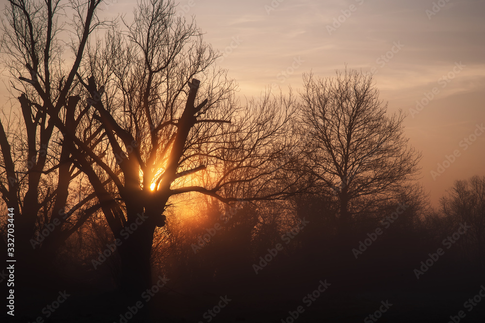 Naklejka premium Sonnenaufgang