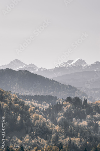 Fototapeta Naklejka Na Ścianę i Meble -  View Of Mountains In Autumn / Panoramic View Of Brown Forest / Hazy Landscape