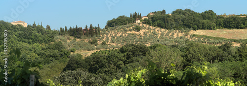 Tuscan agricultural landscape in Summer sunshine, region of Florence