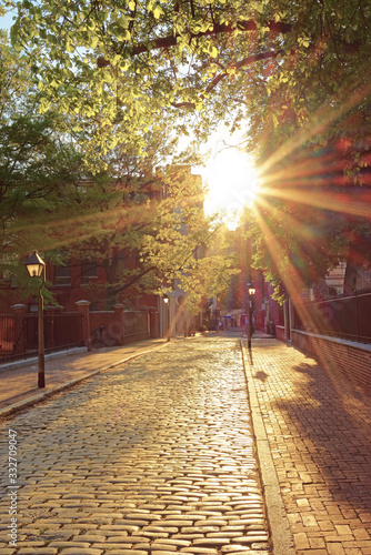 Romantic sunset seen through the tree leaves in Philadelphia