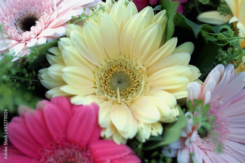 Beautiful bouquet with multi-colored large gerberas