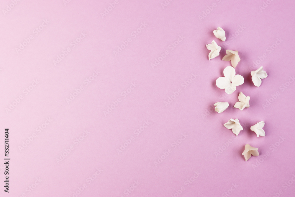 small white flowers on a purple background small white flowers on a purple background