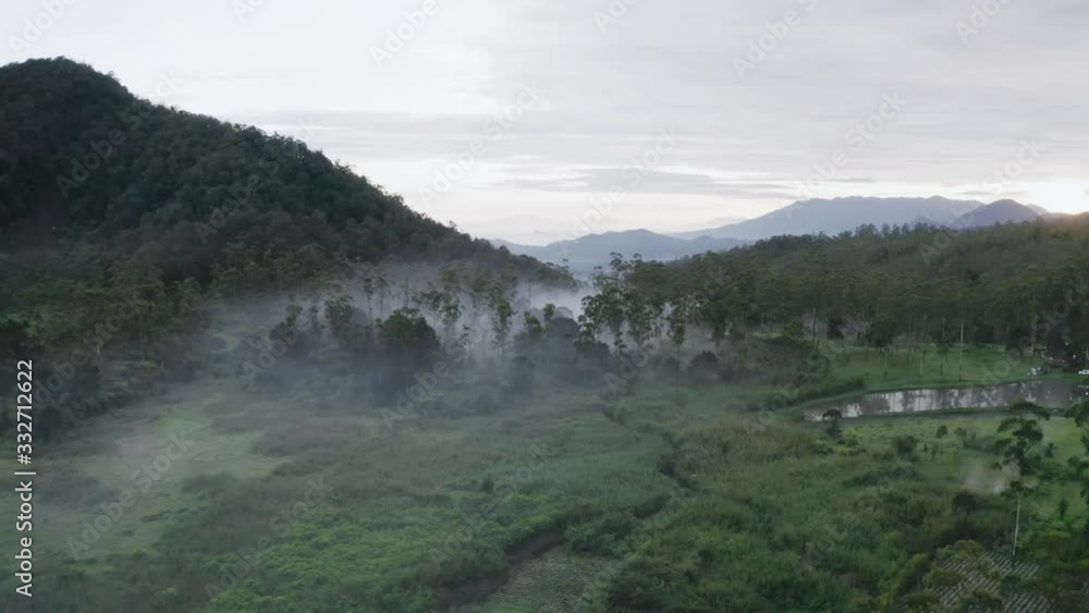 Misty tropical forest with silhouette of mountain Misty tropical forest with silhouette of mountain