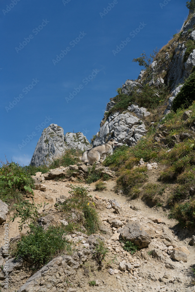 rock in the mountains rock in the mountains