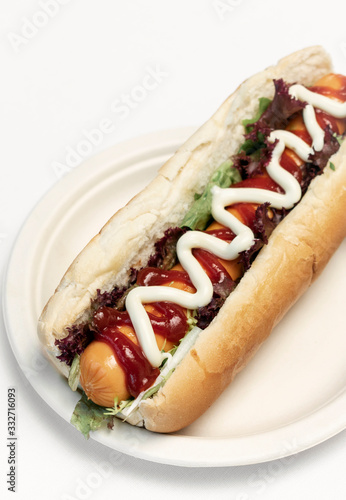 classic hot dog with frankfurter sausage and sauces
