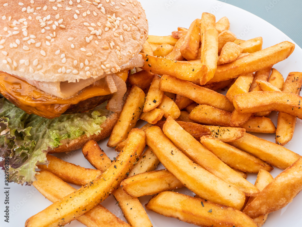 sandwich dish with hamburger, french fries and cheddar sandwich dish with hamburger, french fries and cheddar