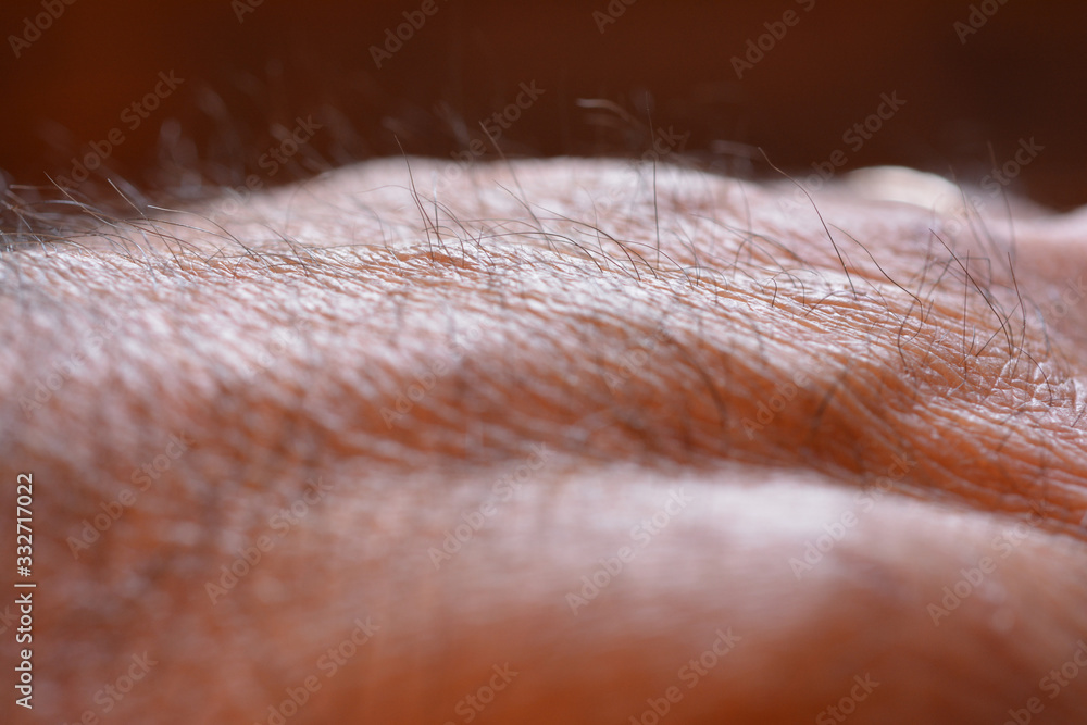 Fototapeta premium Man hand with hair detail in the foreground