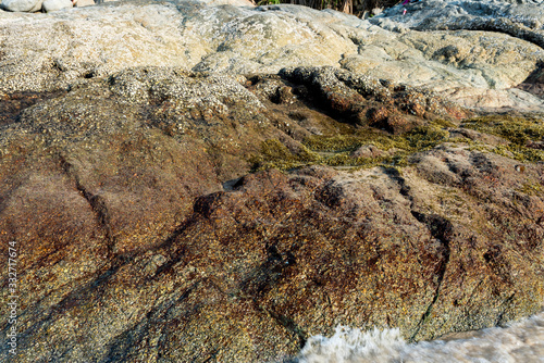 colorful stone with shells at beach