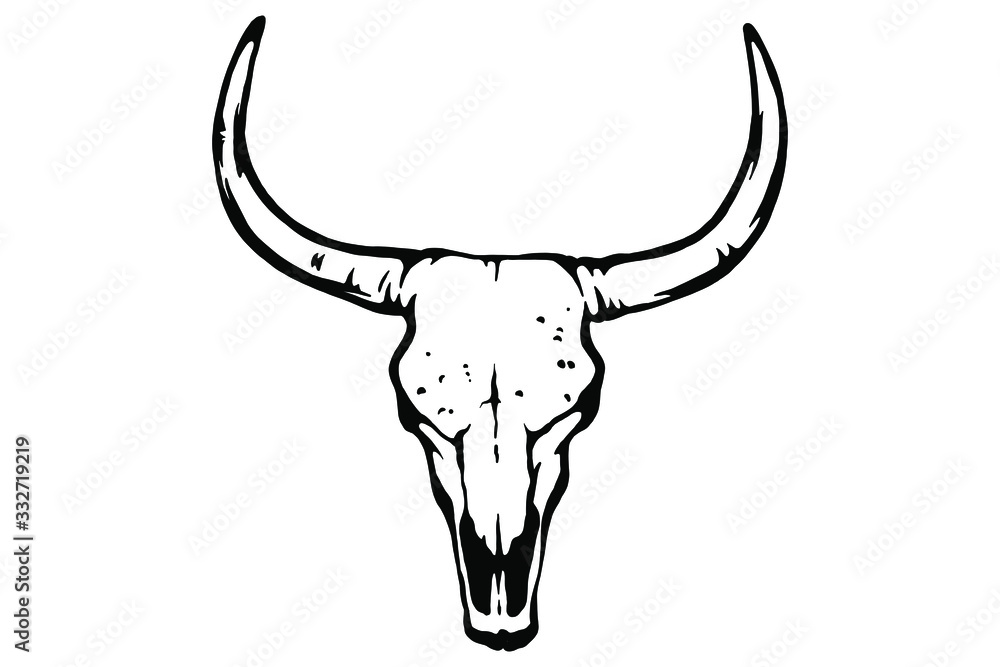 Fototapeta premium Vector hand drawn illustration animal skull. Cow. Good for posters, postcards, print for t-shirt, tattoo.