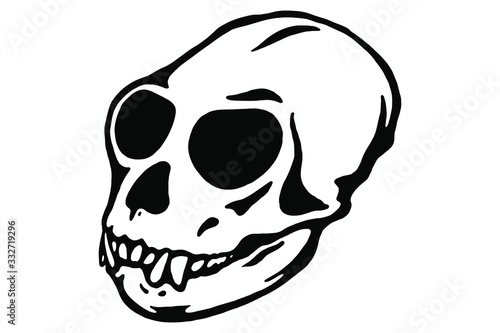 Vector hand drawn illustration animal skull. Monkey. Good for posters, postcards, print for t-shirt, tattoo.