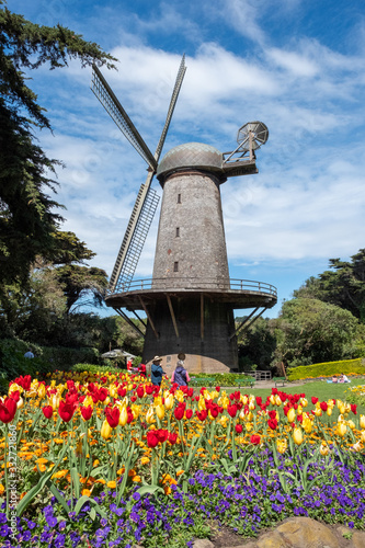 Photography Windmill and tulips in bloom, Social Distancing, Queen Wilhelmina Garden, San Fr