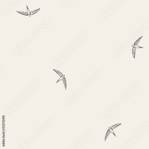Vintage pattern with little swift birds. Monochrome vector background in doodle asian style.