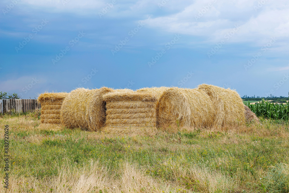Rural landscapes. Rolls of haystacks on the field