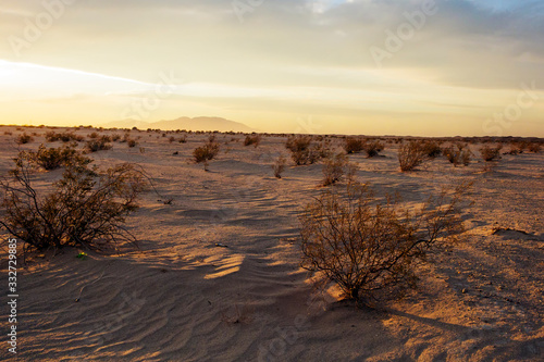 California Desert © Mike