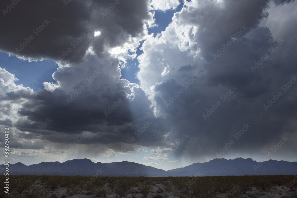 Mojave Desert Landscapes