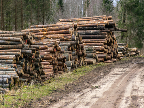 A stack of wooden logs piled on the side of the road