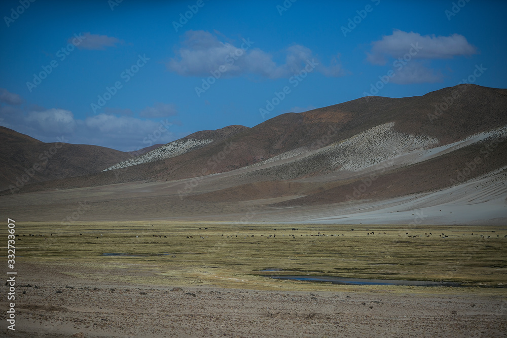 Dry landscapes in Cordillera Real, Andes, Bolivia