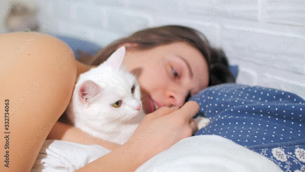 A cute white cat dozed in the arms of a woman. Close up slow motion fluffy pet. A woman stroking her pet in bed. Quarantine at home A cute white cat dozed in the arms of a woman. Close up slow motion fluffy pet. A woman stroking her pet in bed. Quarantine at home