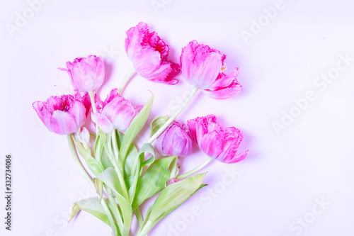 Fototapeta Naklejka Na Ścianę i Meble -  Pink blooming tulips