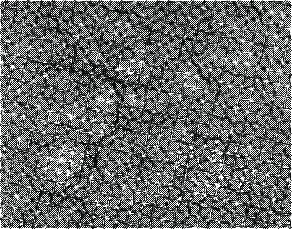 Obraz premium Natural leather structure material abstract texture background