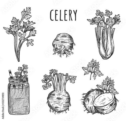 Celery stalks, leaves and root set