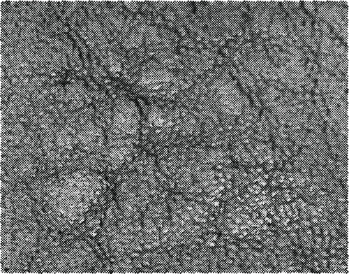 Natural leather structure material abstract texture background