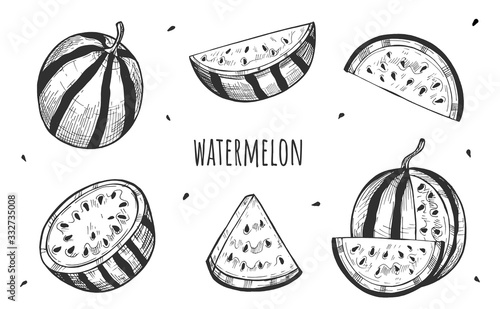 Fresh whole sliced watermelon set