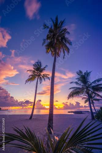 Beautiful sunset over the sea with a view at palms on the white beach. Paradise island coastline, amazing palm trees with copy space. Tranquil summer exotic travel background
