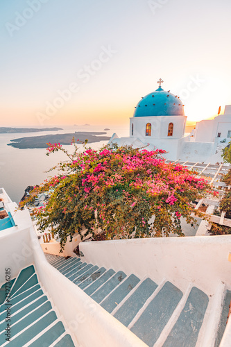 Summer landscape, travel, vacation. Sunset view of traditional cycladic houses with flowers in foreground, Oia village, Santorini, Greece. Church building on Santorini island at evening, Greece