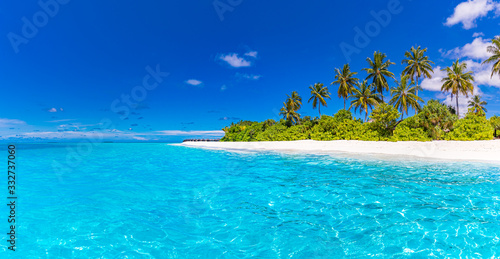 Fototapeta Naklejka Na Ścianę i Meble -  Summer beach landscape. Tropical island view, palm trees and amazing blue sea. Amazing beach scenery, white sand, exotic travel destination. Maldives beach landscape, idyllic landscape